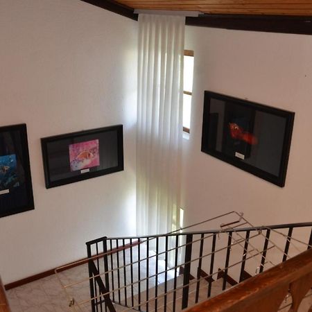 Vila Delfin Ohrid Eksteriør bilde