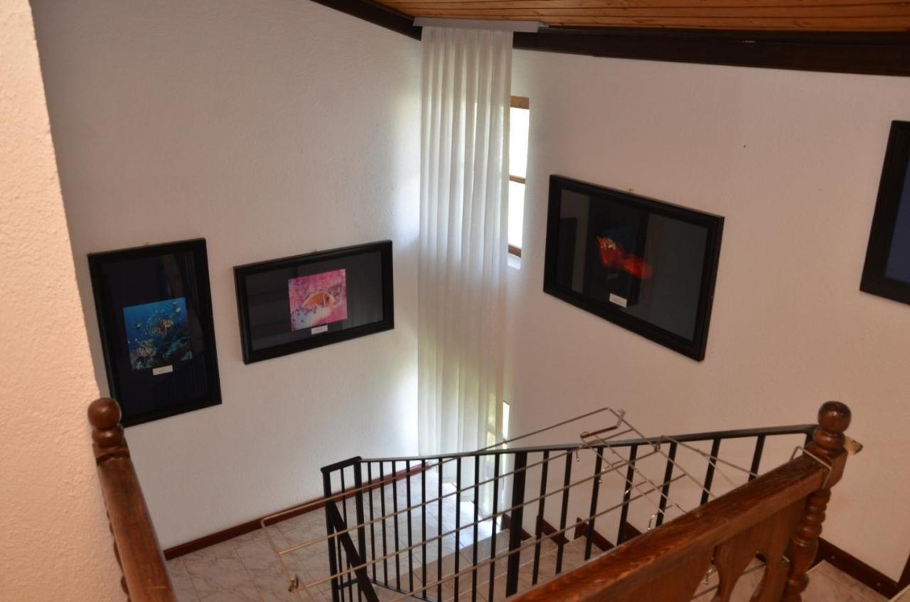 Vila Delfin Ohrid Eksteriør bilde