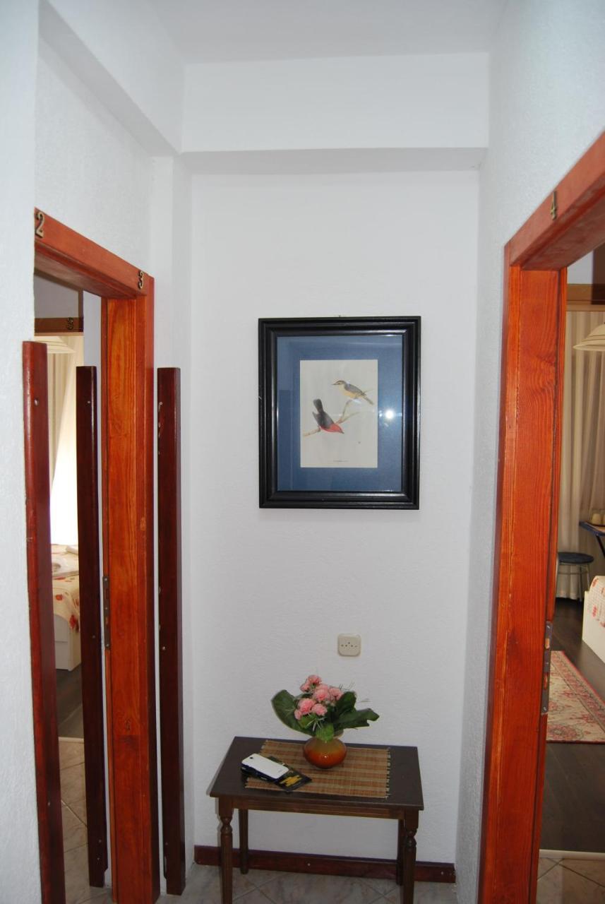 Vila Delfin Ohrid Eksteriør bilde